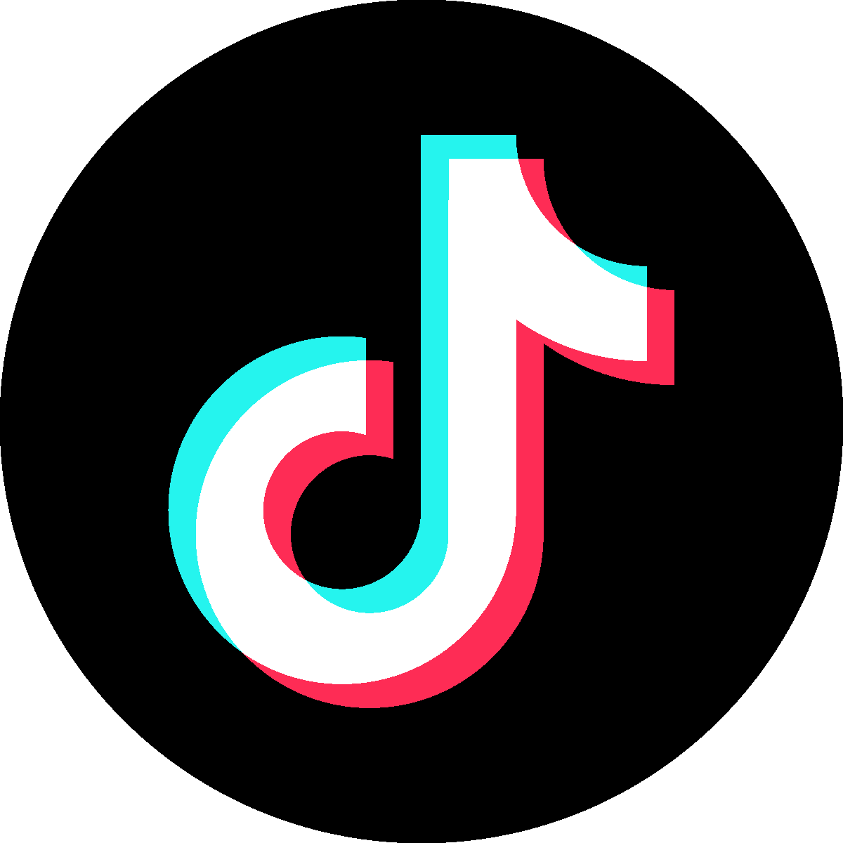 tiktok logo.